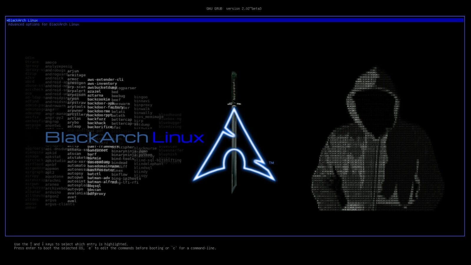 BlackArc Linux Hacking Live USB 3.0 Operating System: 2800+ Tools for Pentesting - Ohio Computer Sales