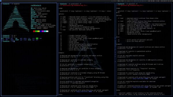 BlackArc Linux Hacking Live USB 3.0 Operating System: 2800+ Tools for Pentesting - Image 5